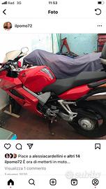 Honda vfr Vtec