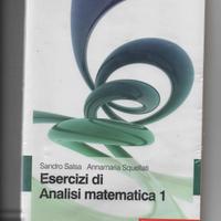 Esercizi di Analisi Matematica 1-Salsa, Squellati