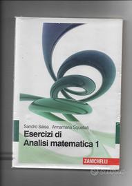 Esercizi di Analisi Matematica 1-Salsa, Squellati