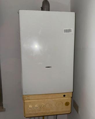 Caldaia a metano ocean eco 20 fi