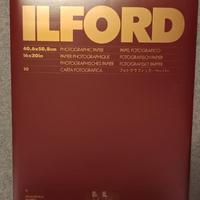 Carta Ilford Fb e Rc in Fogli e Rullo