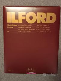 Carta Ilford Fb e Rc in Fogli e Rullo