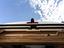 Immagine 13