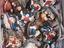 Immagine 6