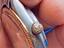 Immagine 4
