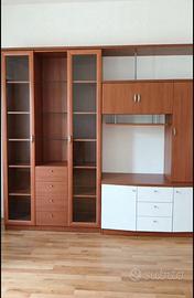 Parete attrezzata/ libreria + mobile tv -300 cm