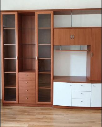 Parete attrezzata/ libreria + mobile tv -300 cm