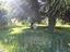 Immagine 25