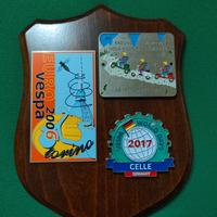 Placca vespa