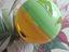 Immagine 1