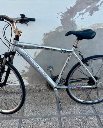 Bottecchia Altavelocità