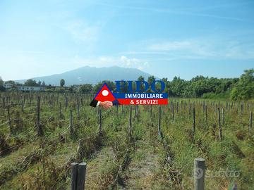 Terreno agricolo di 24.300 mq