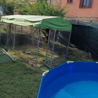 Recinto per cani,polli,galline
