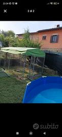 Recinto per cani,polli,galline