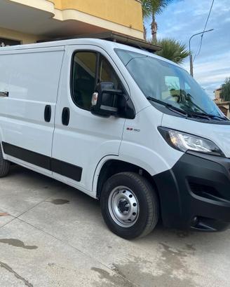 Fiat Ducato 33 2.3 MJT 120CV PC-TN Furgone