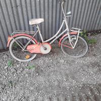 Graziella marca bianchi