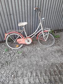 Graziella marca bianchi