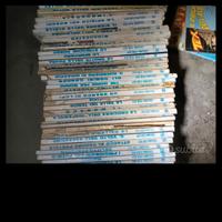 fumetti piccolo ranger