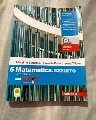 Matematica azzurro 5