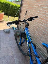 bicicletta