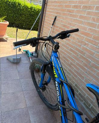 bicicletta