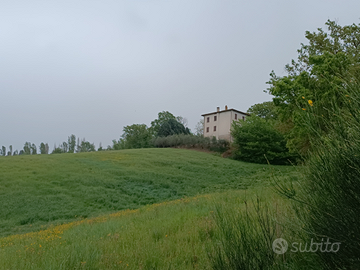 Villa singola con terreno circostante