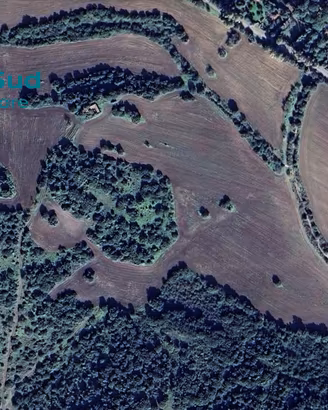 Perd' E Sali - Terreno agricolo con vista mare