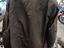 Immagine 2
