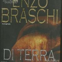 Libro di enzo braschi di terra e di luce