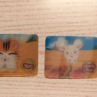 Collezione Cards Hamtaro Valfrutta.