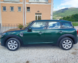 Mini Countryman One D