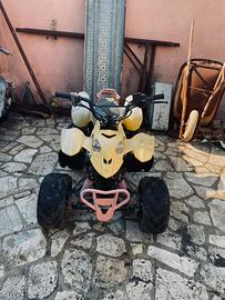 Quad nitro 110cc