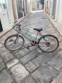 Bicicletta