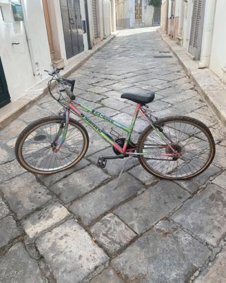 Bicicletta