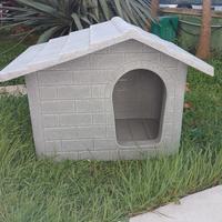 cuccia per cani