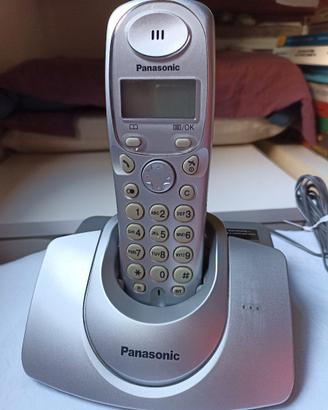 Telefono cordless Panasonic KX-TG1100JT completo