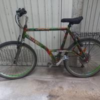 mountain bike uomo alluminio