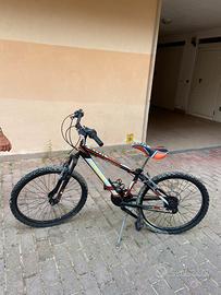 bicicletta per ragazzo