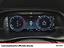 Immagine 11