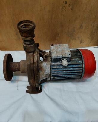 Elettropompa centrifuga di superficie acqua irriga