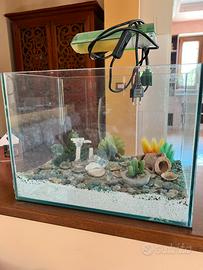 Acquario