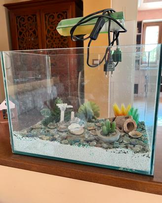 Acquario