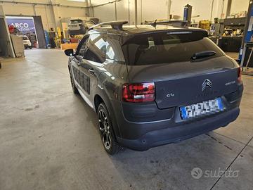 c4 cactus 
