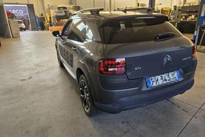 c4 cactus 