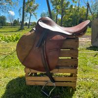 Sella inglese cavallo