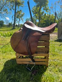 Sella inglese cavallo