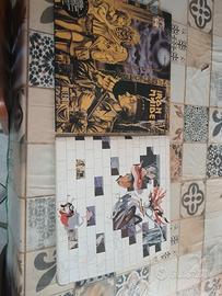 dischi di collezione 