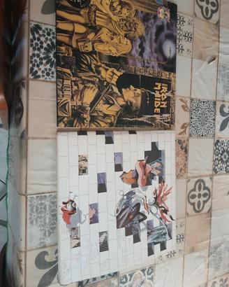 dischi di collezione 