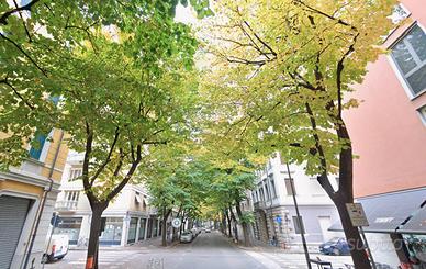 Trilocale con posto auto a Udine