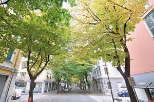 Trilocale con posto auto a Udine